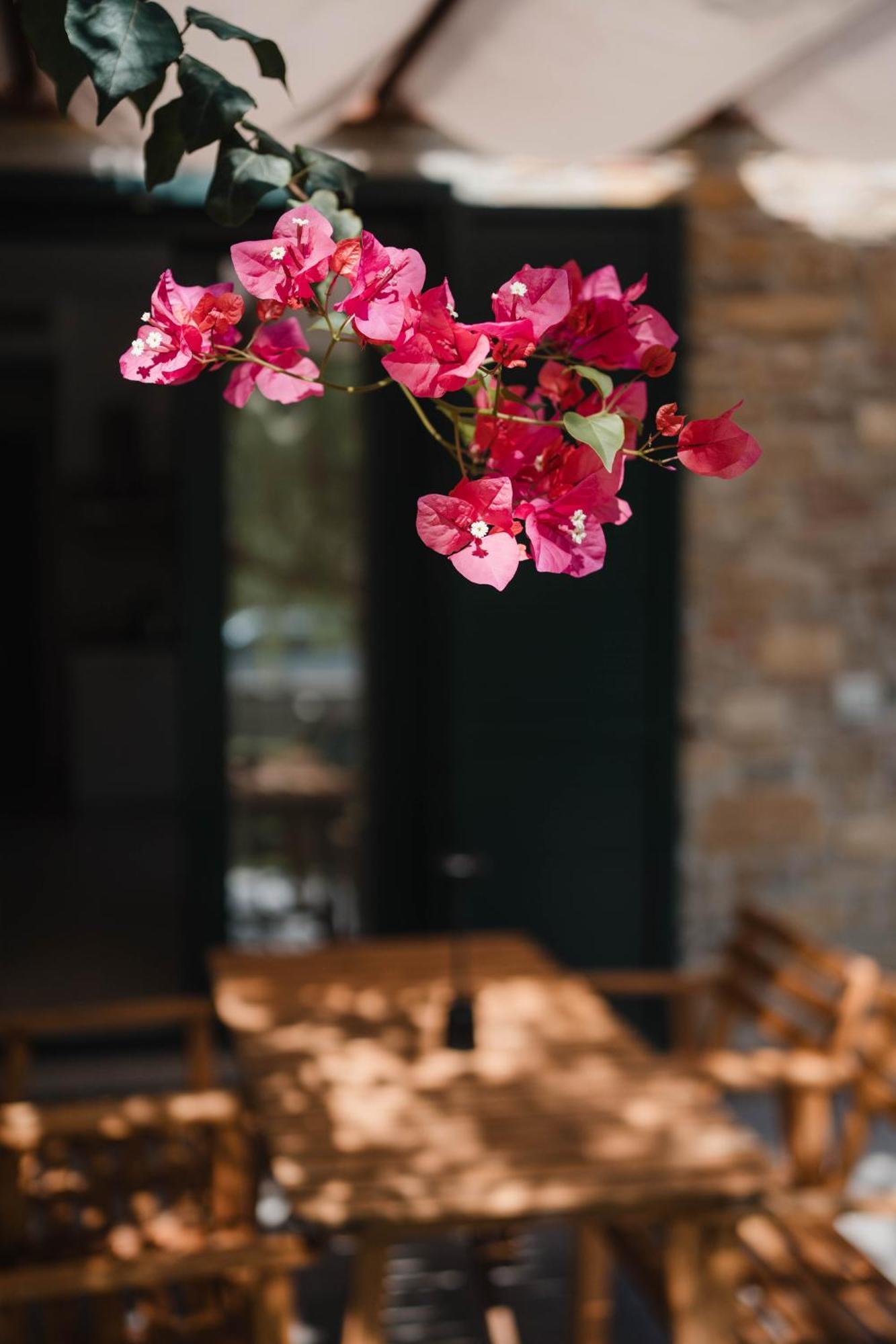 Villa Di Marinella อาเชอา ภายนอก รูปภาพ
